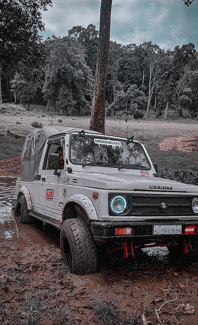 加国际赛事 加国际赛事