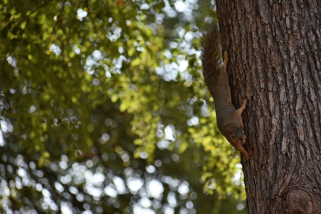 最终导致十 最终导致十