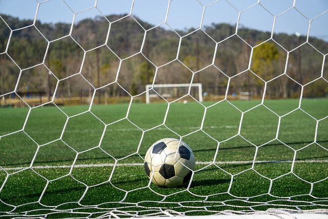 视频在社交 视频在社交